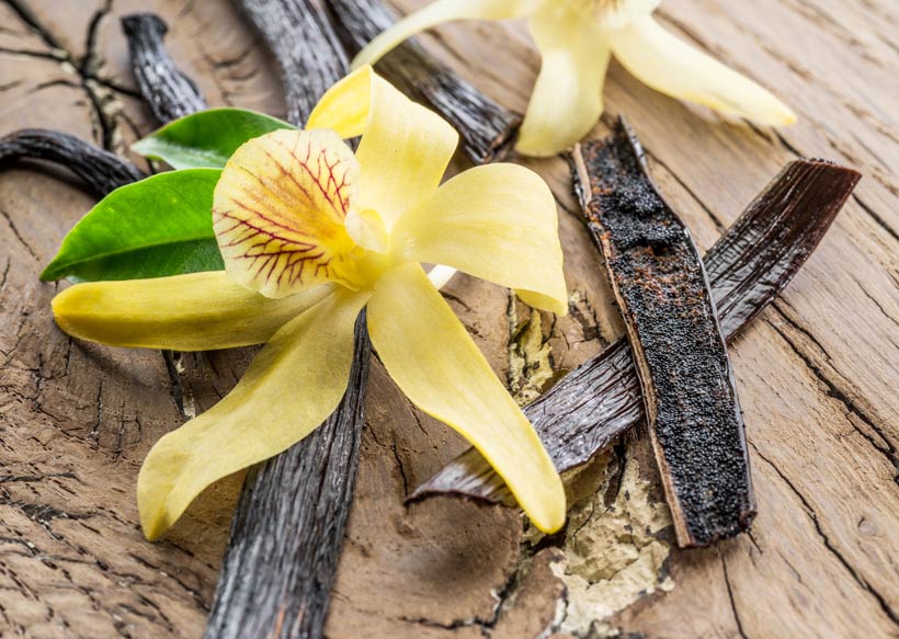 Bienfaits beauté de la vanille : entre douceur et gourmandise