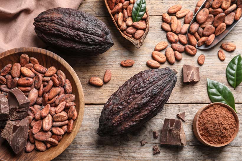 Le beurre de cacao : un cadeau gourmand venu du paradis
