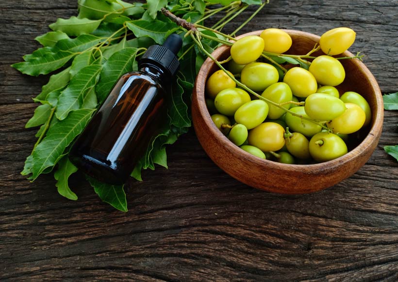 L'huile de neem : Tout savoir sur les bienfaits de cette huile sacrée